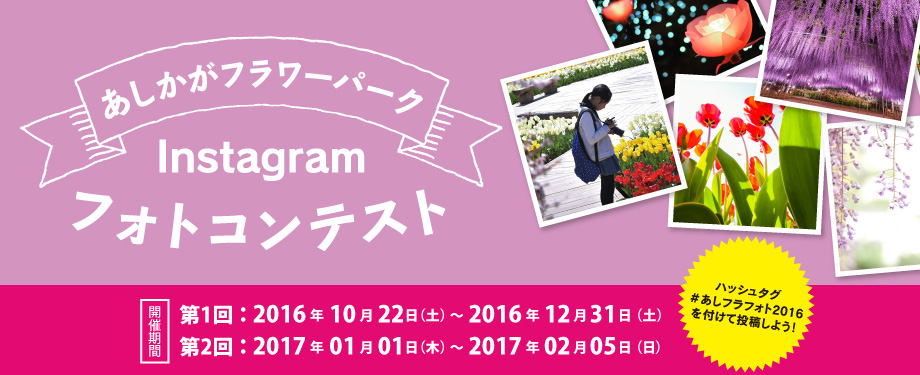 インスタグラムフォトコンテスト