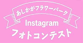 インスタグラム　フォトコンテスト