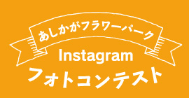 インスタグラムフォトコンテスト