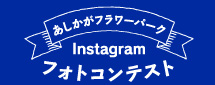 インスタグラムフォトコンテスト