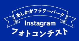 インスタグラムフォトコンテスト
