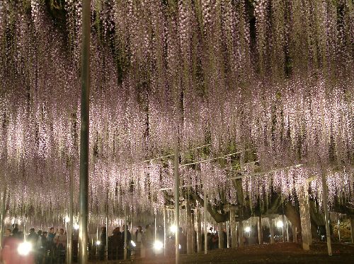 変換 ~ 画像 003.jpg