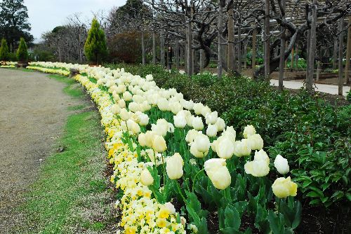 変換 ~ 画像 008.jpg