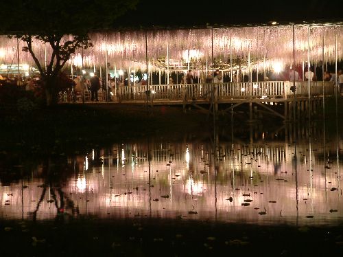 変換 ~ 画像 010.jpg