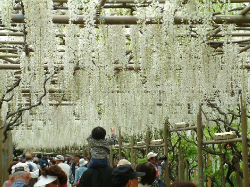 変換 ~ 2006050904.jpg