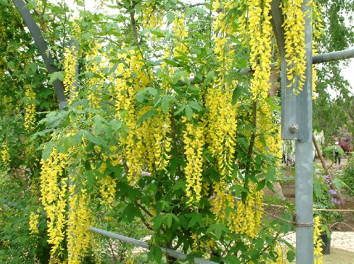 変換 ~ 2006050918.jpg