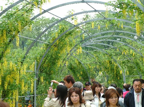 変換 ~ 2006050919.jpg