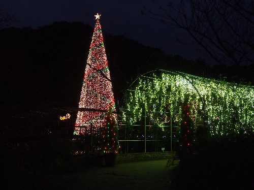 クリスマスタワー&きばなトンネル20061207001.jpg