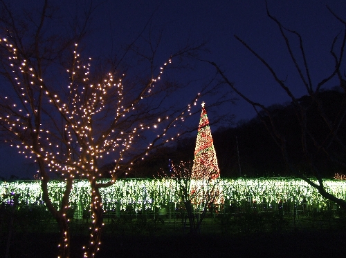 クリスマスタワー20061228005.jpg