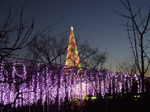 クリスマスタワー20061228006.jpg