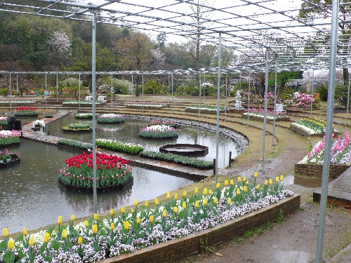 20080410_flower_stage_004.jpg