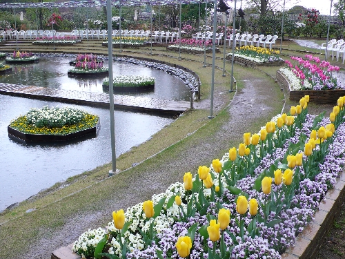 20080417_flower_stage_001.jpg
