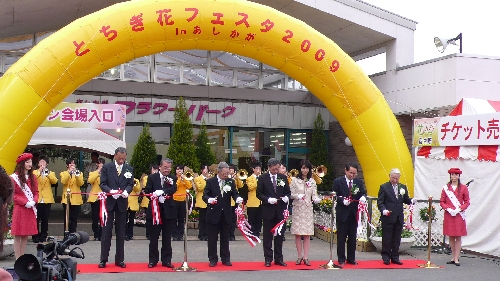 20090213start001.jpg