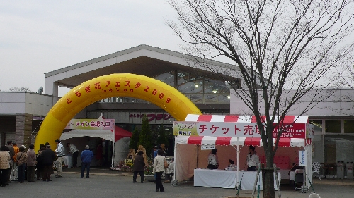 20090213start002.jpg