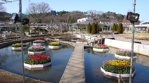 20100311フラワーステージ001.jpg