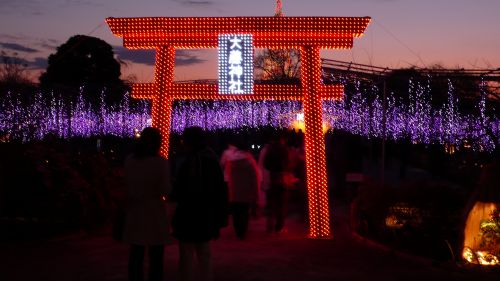120101torii.jpg