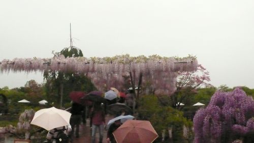 120502gogousubenibashi.jpg
