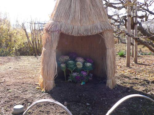 121206yukigakoi 2.jpg