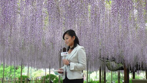 20120509NHK19.jpg