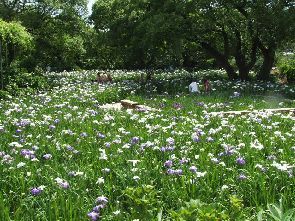 変換 ~ 2007_0615空0020.jpg