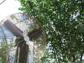 変換 ~ 2007_0615空0022.jpg