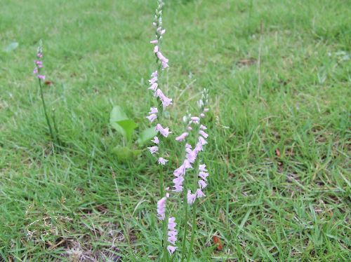 変換 ~ 2007_06220012.jpg