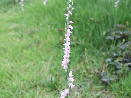 変換 ~ 2007_06220013.jpg