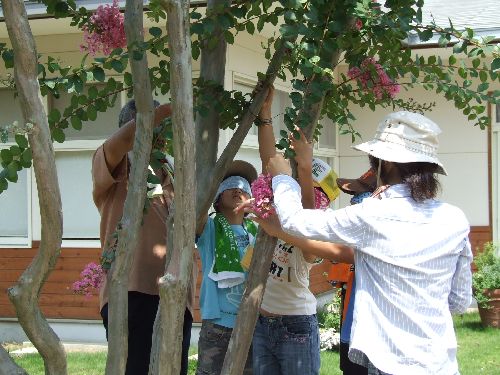 変換 ~ 画像 096.jpg