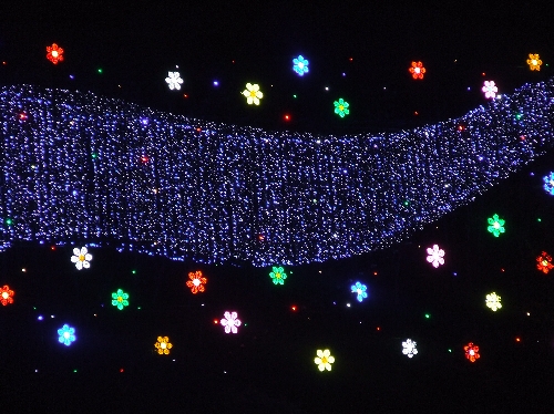 2009イルミ.jpg