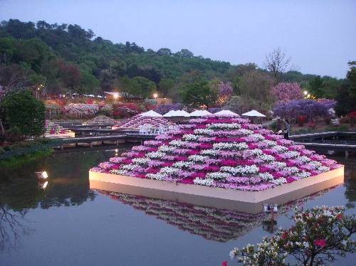 20110430水上花壇夕方.jpg