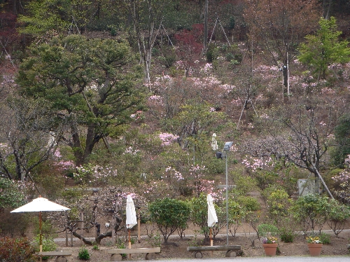 20120426山.jpg