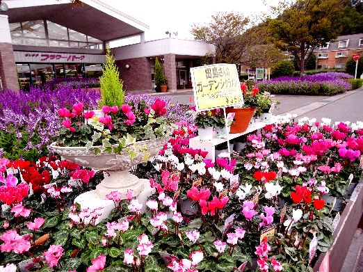 変換 ~ ガーデン.jpg