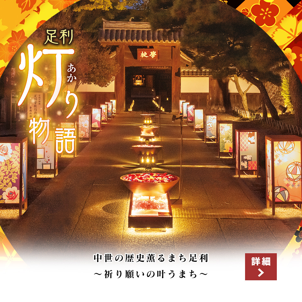 灯りと光のあるまち 足利灯り物語