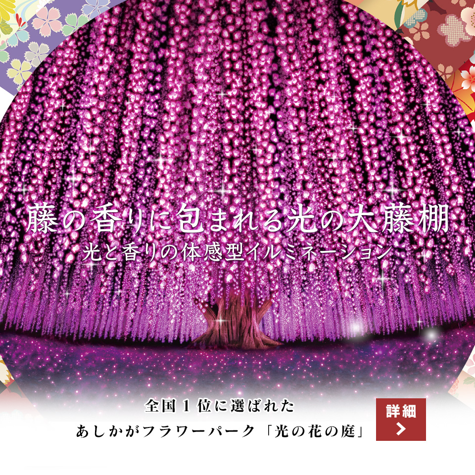 夜は光の世界へ あしかがフラワーパーク