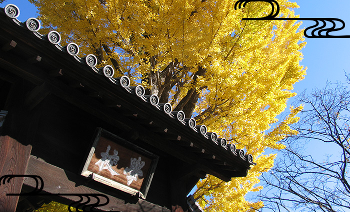 日本最古の学校「史跡 足利学校」