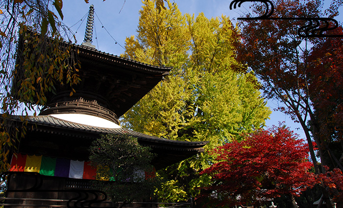 国宝「鑁阿寺」