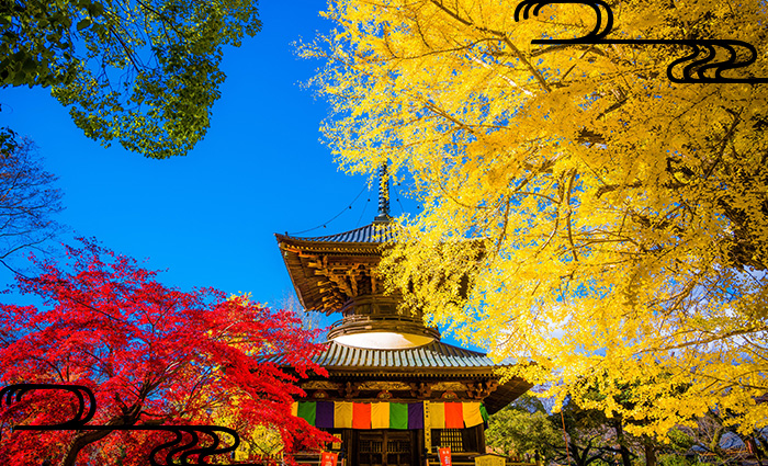 足利市の「紅葉名所」