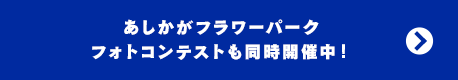 あしかがフラワーパーク フォトコンテストも開催中！
