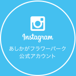 あしかがフラワーパーク公式アカウント