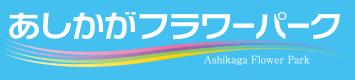 あしかがフラワーパーク