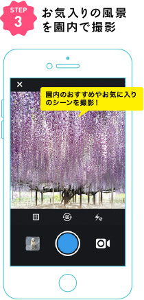 園内のおすすめやお気に入りのシーンを撮影！