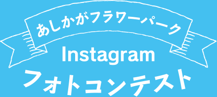 あしかがフラワーパーク Instagram フォトコンテスト