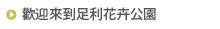 歡迎來到足利花卉公園