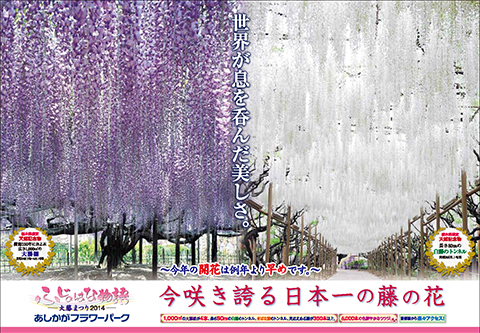 ふじのはな物語 - 大藤まつり 2014 -
