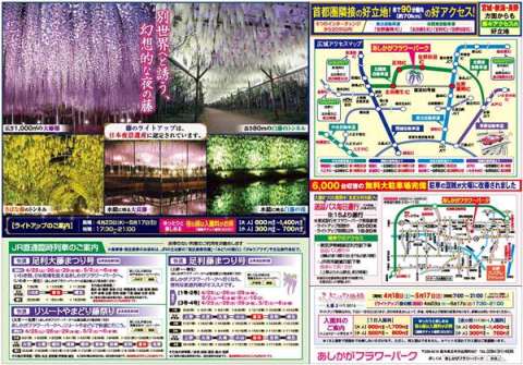 ふじのはな物語2015　第一弾A