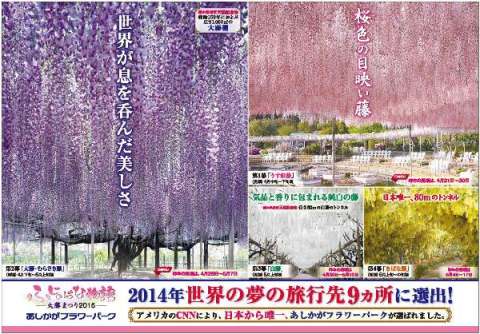 ふじのはな物語2015　第二弾