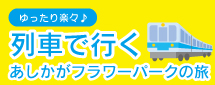 電車で行く　あしかがフラワーパークの旅