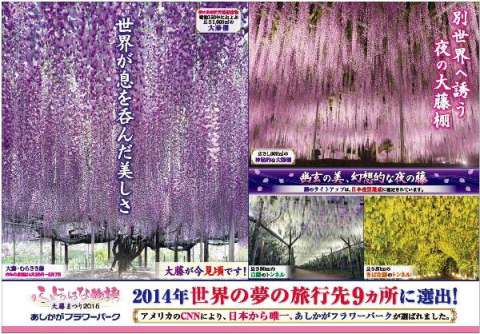 ふじのはな物語2015　第三弾