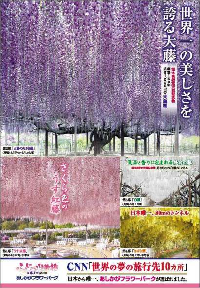 ふじのはな物語2016第一弾