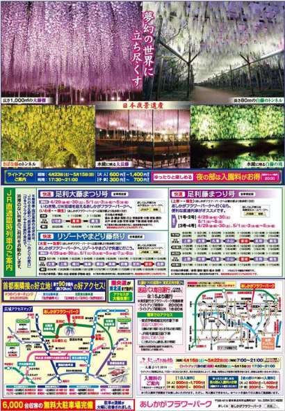 ふじのはな物語2016第一弾